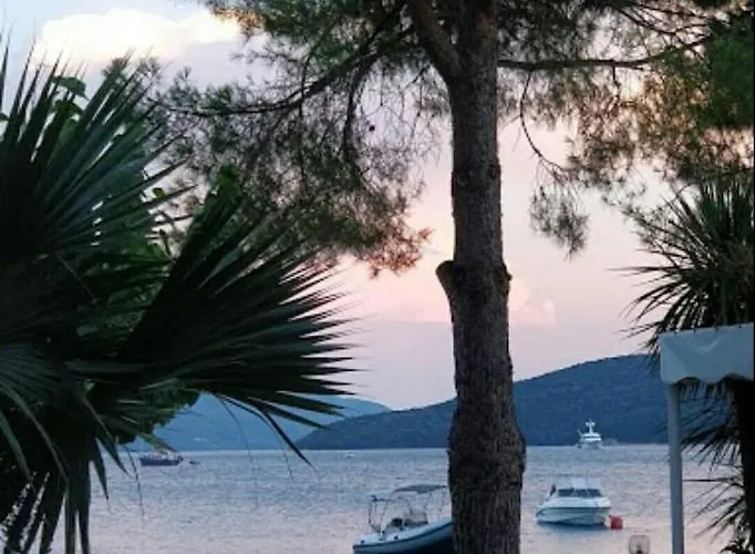 Coralli Beach Studios-